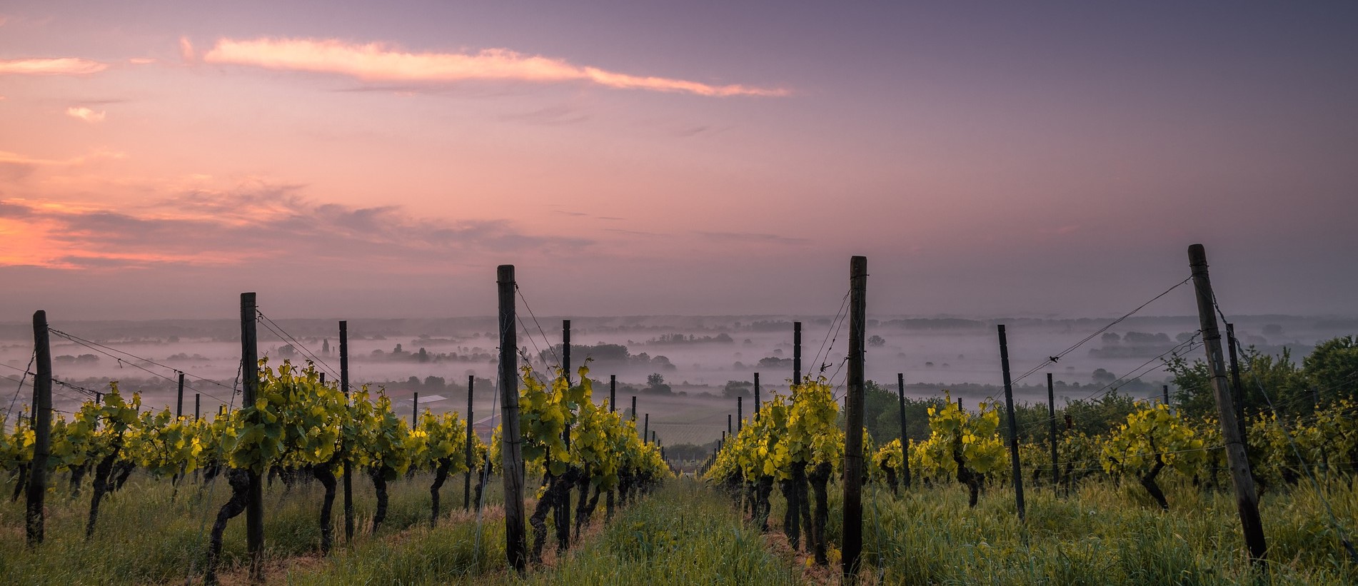 Demarest Hill Winery